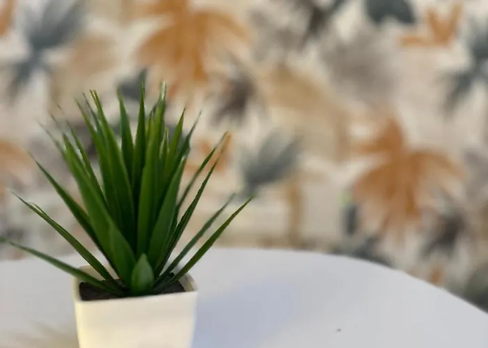 Coqueto Estudio Junto Al Mar-apartamentos Don Diego En La Carihuela Apartment *